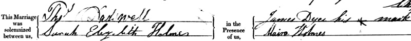 Signatures on the 1884 marriage certificate of Thomas Dadswell and Sarah Holmes